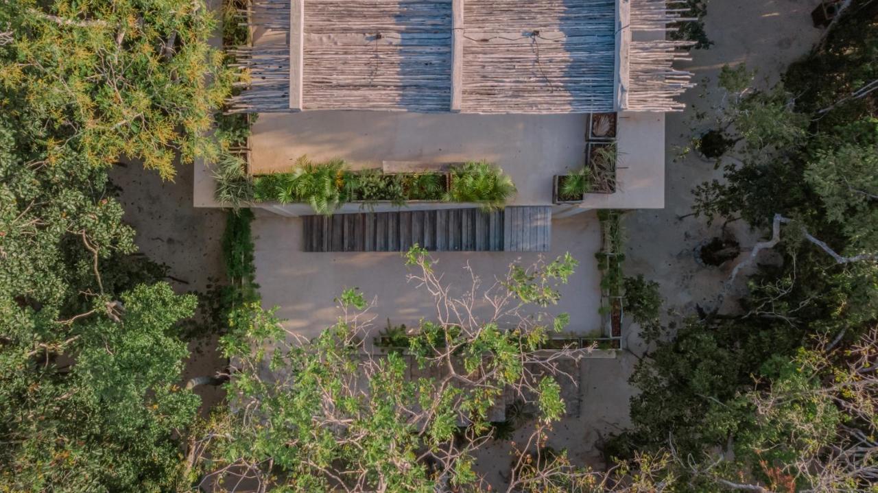 Naum - Secluded Villa With Private Cenote Tulum Pueblo Buitenkant foto