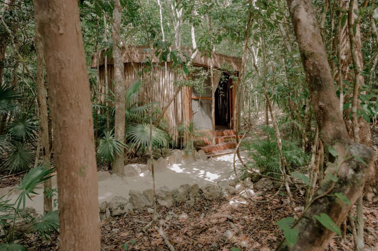 Naum - Secluded Villa With Private Cenote Tulum Pueblo Buitenkant foto