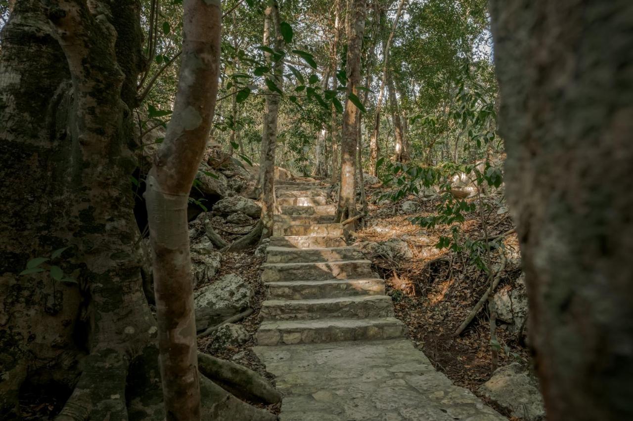 Naum - Secluded Villa With Private Cenote Tulum Pueblo Buitenkant foto