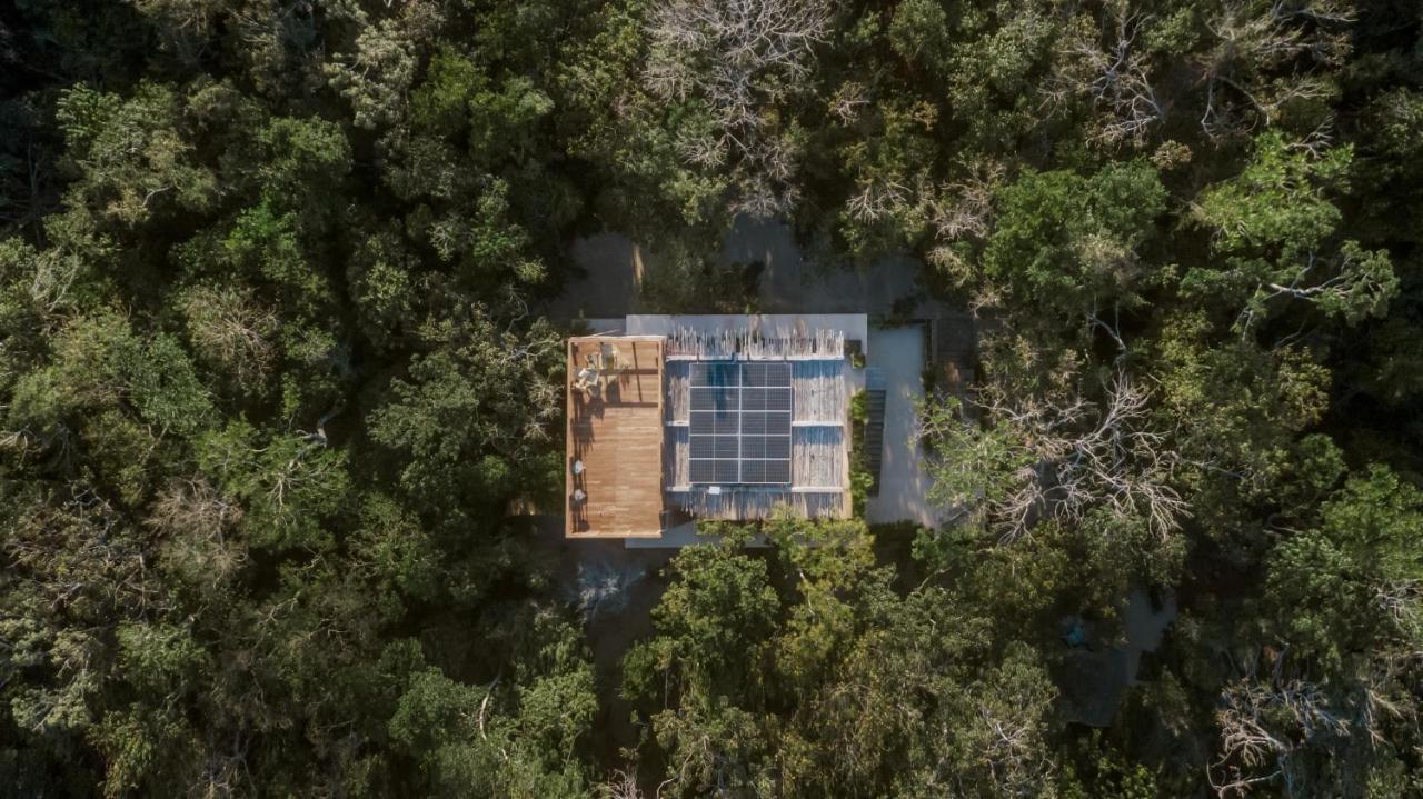 Naum - Secluded Villa With Private Cenote Tulum Pueblo Buitenkant foto