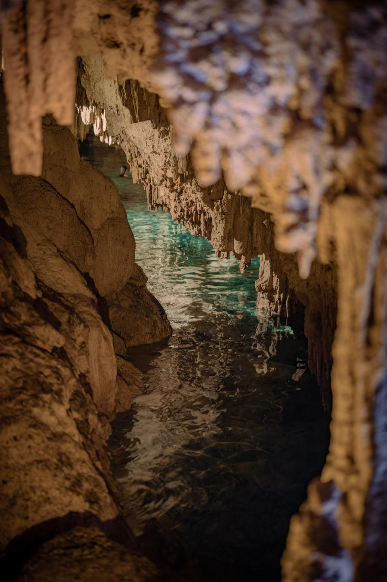 Naum - Secluded Villa With Private Cenote Tulum Pueblo Buitenkant foto